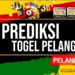 12bukk